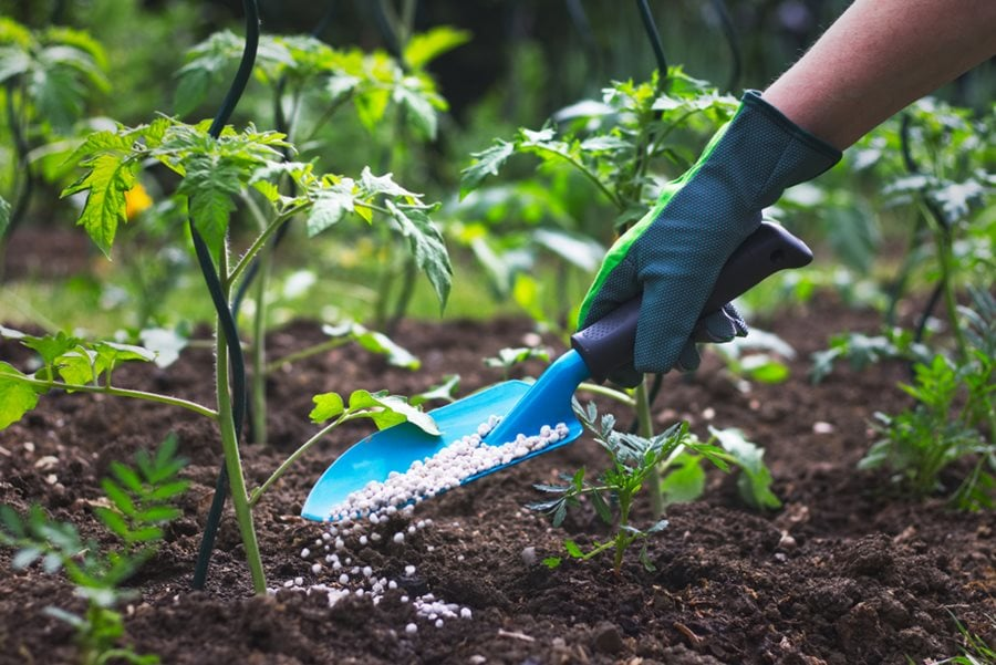 Soil and fertilization service
