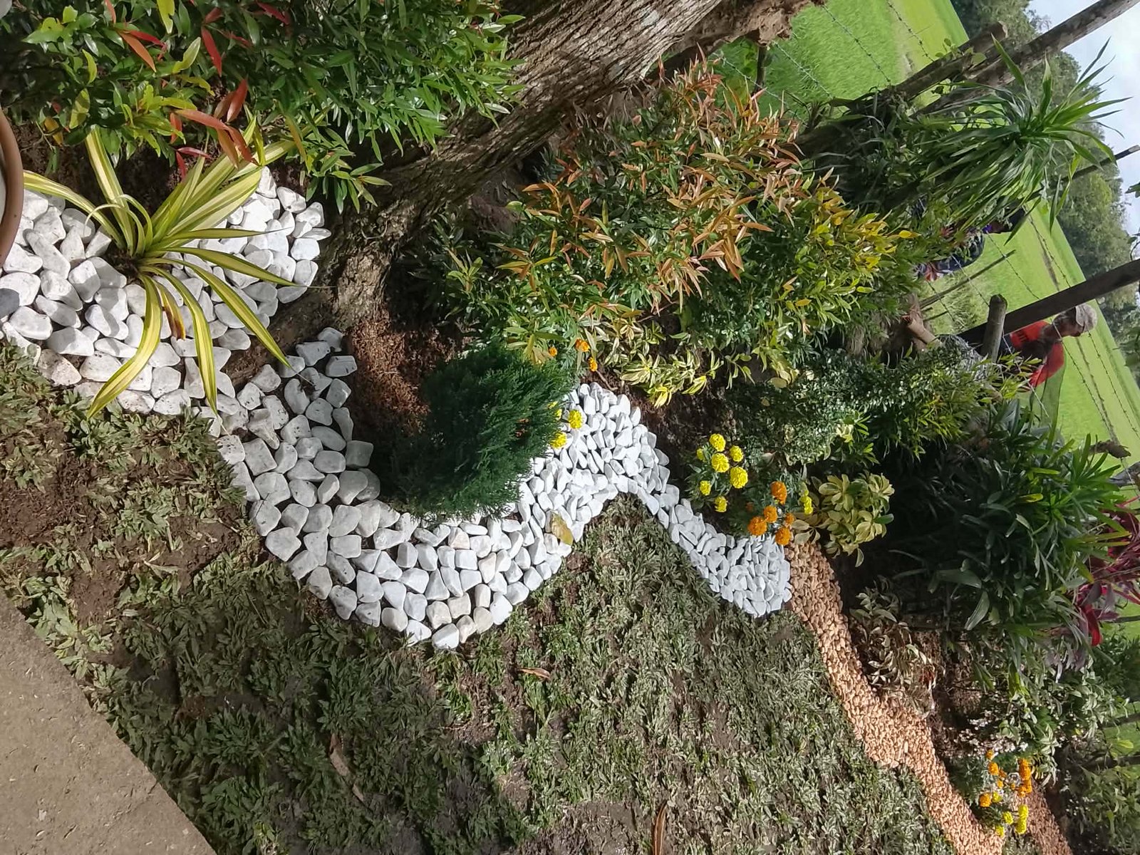 Decorative grotto