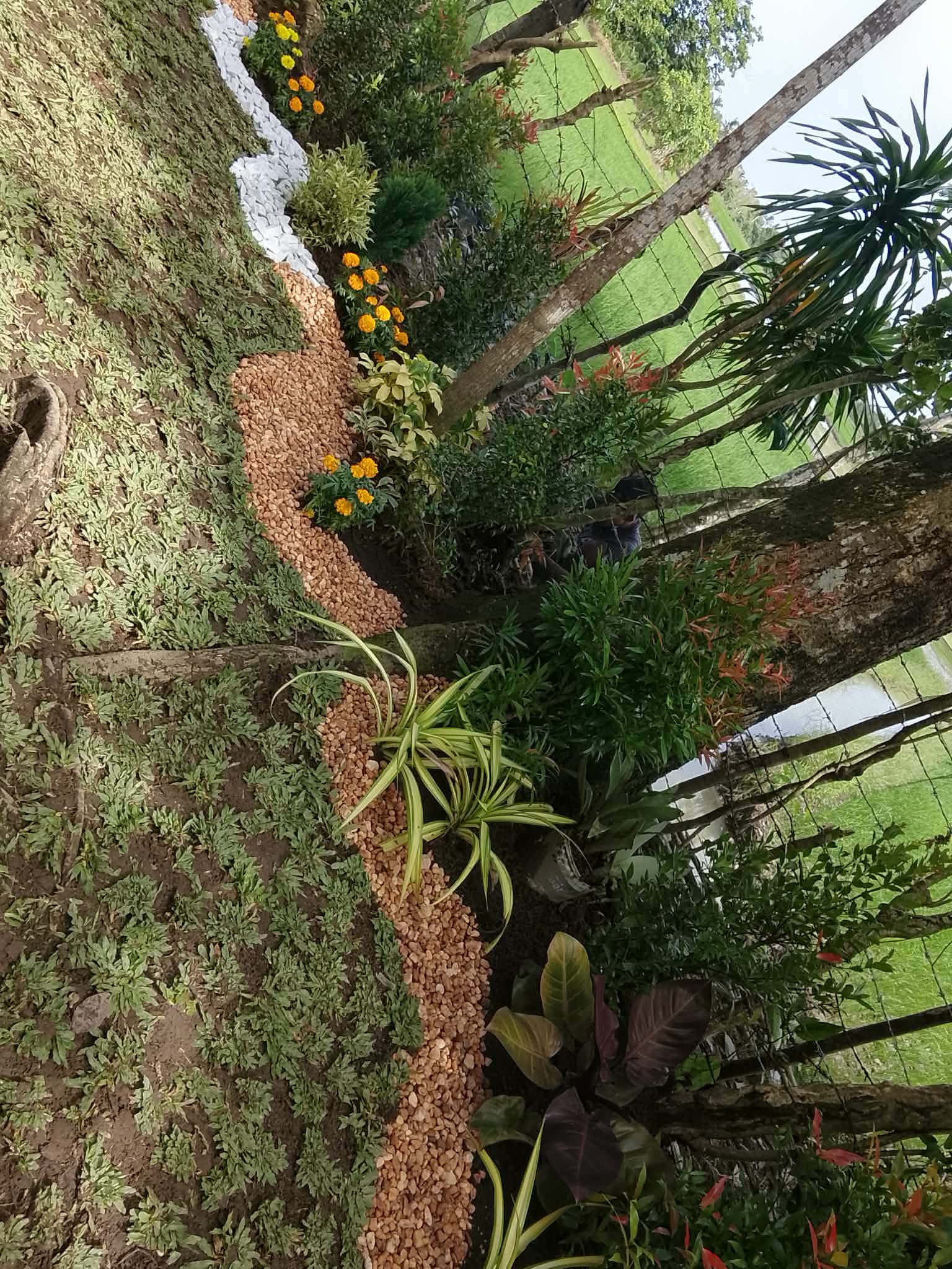 Modern garden layout