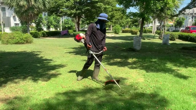 Pruning and trimming service