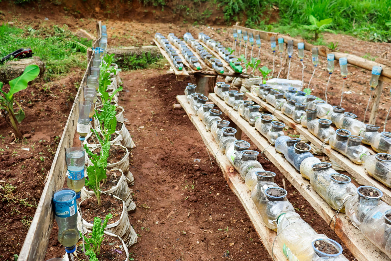 Irrigation and watering service
